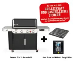 Weber Genesis EPX-435 Smart Grill